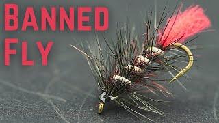 Banned Lure “Too Productive”?!?