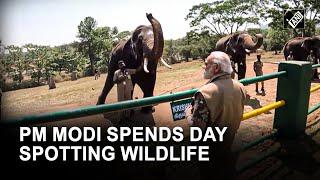 “A special day…” PM Modi’s memorable visit to the Bandipur and Mudumalai Tiger Reserves