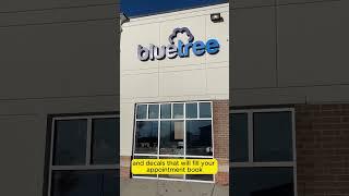 Bluetree Dental  Dentist|Custom VinylDecalsNow.com |Orem UTAH |Lettering | Wall Graphics |#B2B