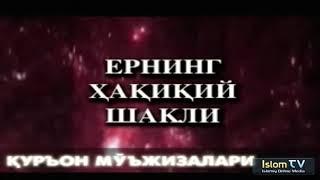 Ернинг ҳақиқий шакли