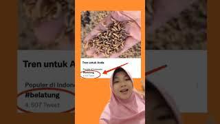 VIRAL!! IDE BISNIS BELATUNG YANG VIRAL DI TIKTOK