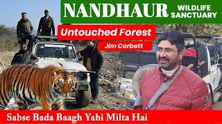 Jim Corbett | Senapani FRH | Nandhaur Wildlife Sanctuary | Sabse Bada Baagh yaha Milta Hai