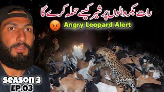  Angry Leopard Alert | Travelling with Nomads Bakarwal in Kashmir Season 3 Episode 03