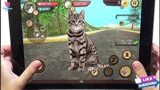 Cat Sim Online: Play with Cat Clan Pet Simulator Android Gameplay Tv Video
