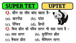 KVS PRT GK 2023 | Super TET 2023 | UPTET 2023 Important Questions | SSC | REET | Lucent GK