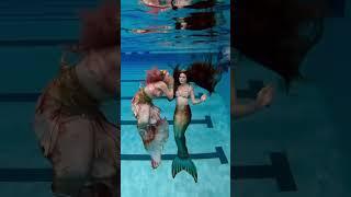 Swimming with mermaids!!! I’m HOOKED! ‍️🪝#mermaid #thelittlemermaid #mertailor
