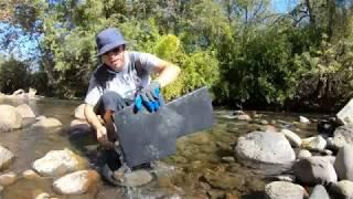 The Island Holds Gold - Kern River Gold Prospecting at Hart Park (10-21-18) S1E7