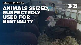 Bestiality Bus: Animals seized from poor conditions for alleged bestiality, police explain challenge