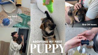 I ADOPTED A PUPPY!! Bringing home my 8-week Australian shepherd, first 24 hours with puppy