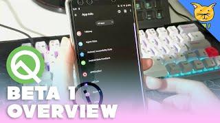 Android Q: Beta 1 Overview | MaowDroid