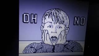 Home Alone Game Boy: Game Over