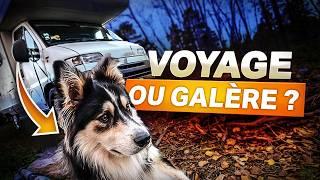 VOYAGER avec un CHIEN : notre BILAN après 1 an !