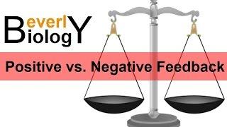 Negative vs Positive Feedback