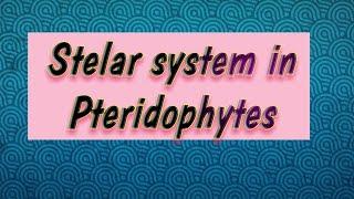 stelar system in pteridophytes