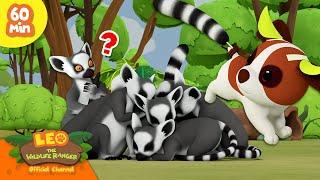  ANIMALS OF MADAGASCAR!  Lemurs, Chameleons, Whales!  | Leo the Wildlife Ranger | Kids Cartoons