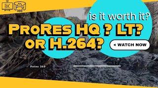  ProRes HQ vs. ProRes LT vs. H.264 – The ULTIMATE 8K 360° CODEC COMPARISON! Insta360 X4 #insta360