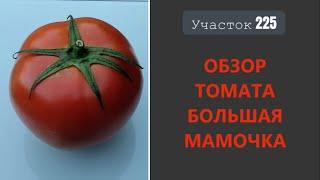 Томат Большая мамочка. Порадовал вкусом и урожайностью!