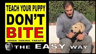 How to Stop PUPPY Biting When Taking Treats - PUPPY Dog Training Video