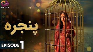 Pakistani Drama | Pinjra - Episode 1 | Aplus Gold | Yumna Zaidi, Nauman Aijaz | CZ2O