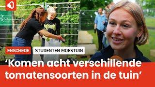 Oogst uit nieuwe studentenmoestuin van Saxion: meer dan groente en fruit