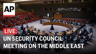 LIVE: UN Security Council meeting on the Middle East