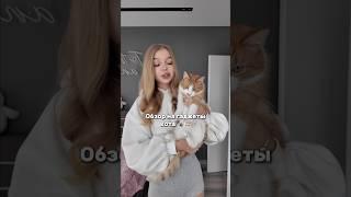 ГАДЖЕТЫ ДЛЯ КОТА #влоги #vlog #влог #обзор #блог