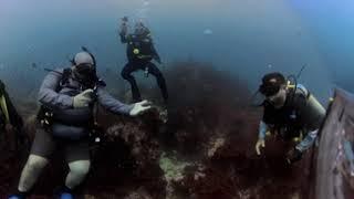 San Pedro Island  9 • Scuba Diving w Dillon • 360° in 4K • 6/13/23