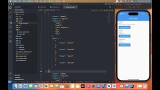 display local json file in flutter || عرض جيسون باستخدام