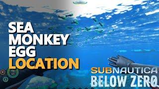 Sea Monkey Egg Subnautica Below Zero Location