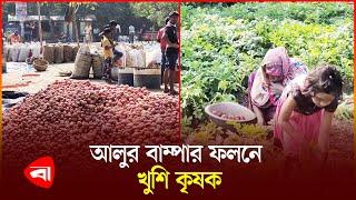 হিলিতে আগাম জাতের আলু তুলতে ব্যস্ত চাষিরা | Potato | Hili | Protidiner Bangladesh