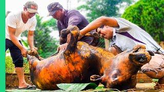 Cooking a WHOLE COW in 4 HOURS!! Vietnam Village Life!!! | Surviving Vietnam Part 5