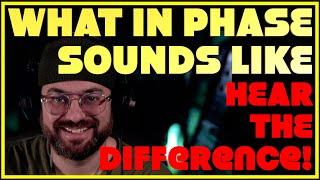 What IN / OUT of Phase Sounds Like on Guitar - Hear the Difference!