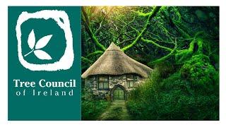 Folklore & Mythology of Trees (Tree Council of Ireland)