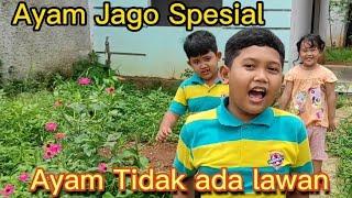 Ayam Jago Spesial punya Embahhh