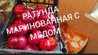 Ратунда - перец болгарский на зиму. Вкуснее Вы просто НЕ ПРОБОВАЛИ !!!!!!!