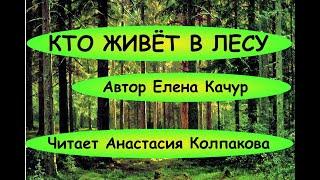 Кто живет в лесу