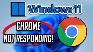 Google Chrome Not Responding in Windows 11/10/8/7 - [2024 Tutorial]