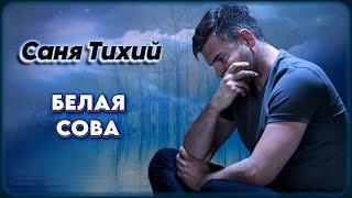 Саня Тихий – Белая сова | Шансон Юга