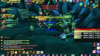 World of Warcraft 3.3.5 Survival Hunter PVE DPS