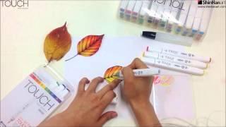 [Shinhan Art] TOUCH TWIN Brush Marker_Coloring Session 1