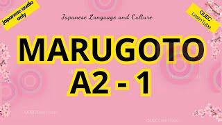 All vocabulary - TỪ VỰNG N5  (A2-1 MARUGOTO). Học theo cách này nhanh thuộc! Giọng Nhật "siêu hay"