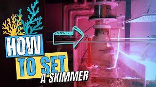 How to tune your protein skimmer!