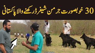 30 expensive or khubsoorat German shepherd rakhny wala Pakistani - F9 Islamabad Dog show