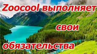 Zoocool всегда выполняет свои обязательства и рад что вы с Нами