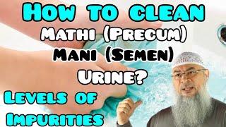 How to clean from Mathi (Precum) Mani (Semen), Urine? Levels of impurities in Islam  Assim al hakeem