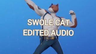 Swole cat edited audio