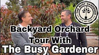 Backyard Orchard Tour | feat. The Busy Gardener