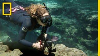 Anyone Can Be an Underwater Photographer | National Geographic
