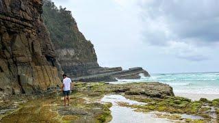 Camping at Seal Rocks, NSW Australia - The Grandis, Yagon Campground and a turkey chasing a goanna