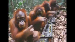 (VERY RARE) APHEX TWIN X VEGYN TYPE BEAT - "MONKEYS.MP4"